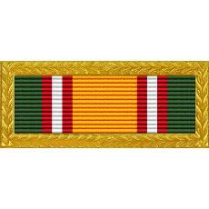 Tennessee National Guard Army Volunteer Recruiting & Retention Ribbon with Large Gold Frame